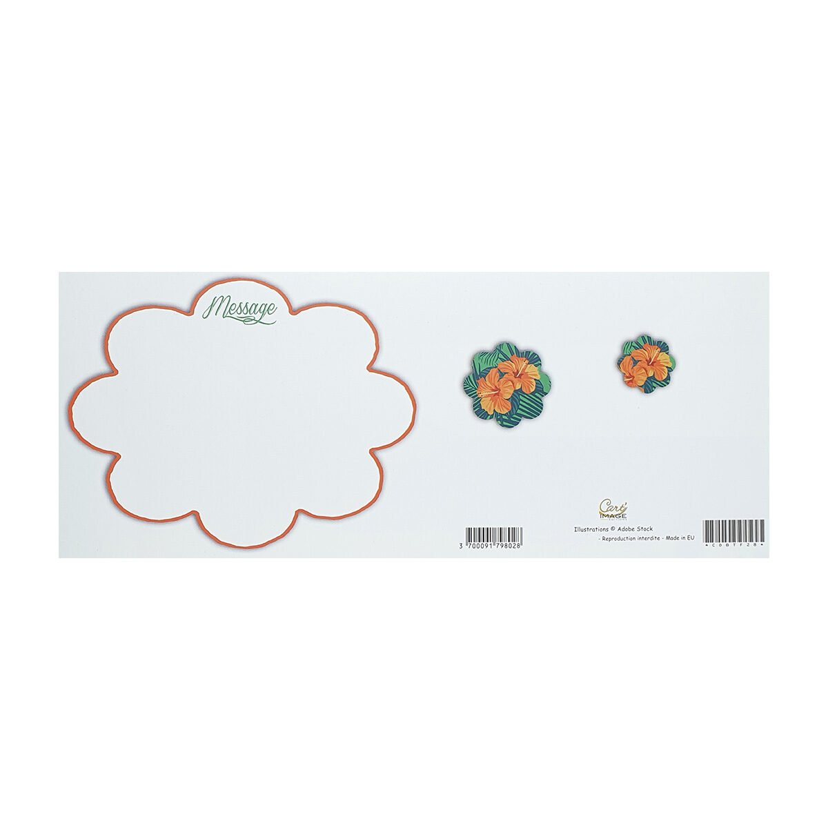 Carte postale 2 volets pour anniversaire de L 28.5 X l 11.5 cm pliée avec enveloppe Millénium