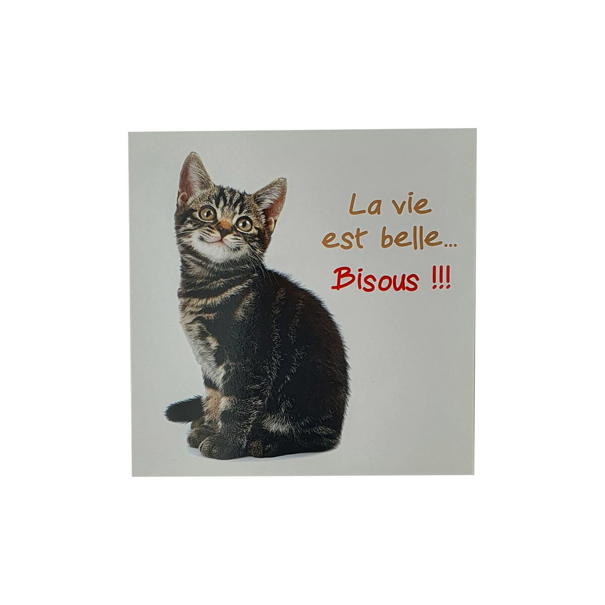 Postcard for any occasion of 12 X 12 cm with envelope Carré fun