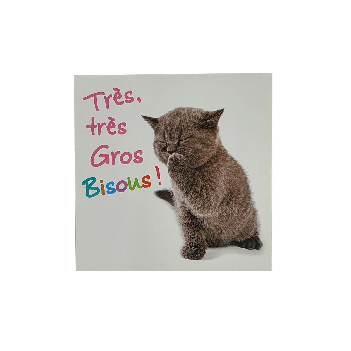 Postcard for any occasion of 12 X 12 cm with envelope Carré fun