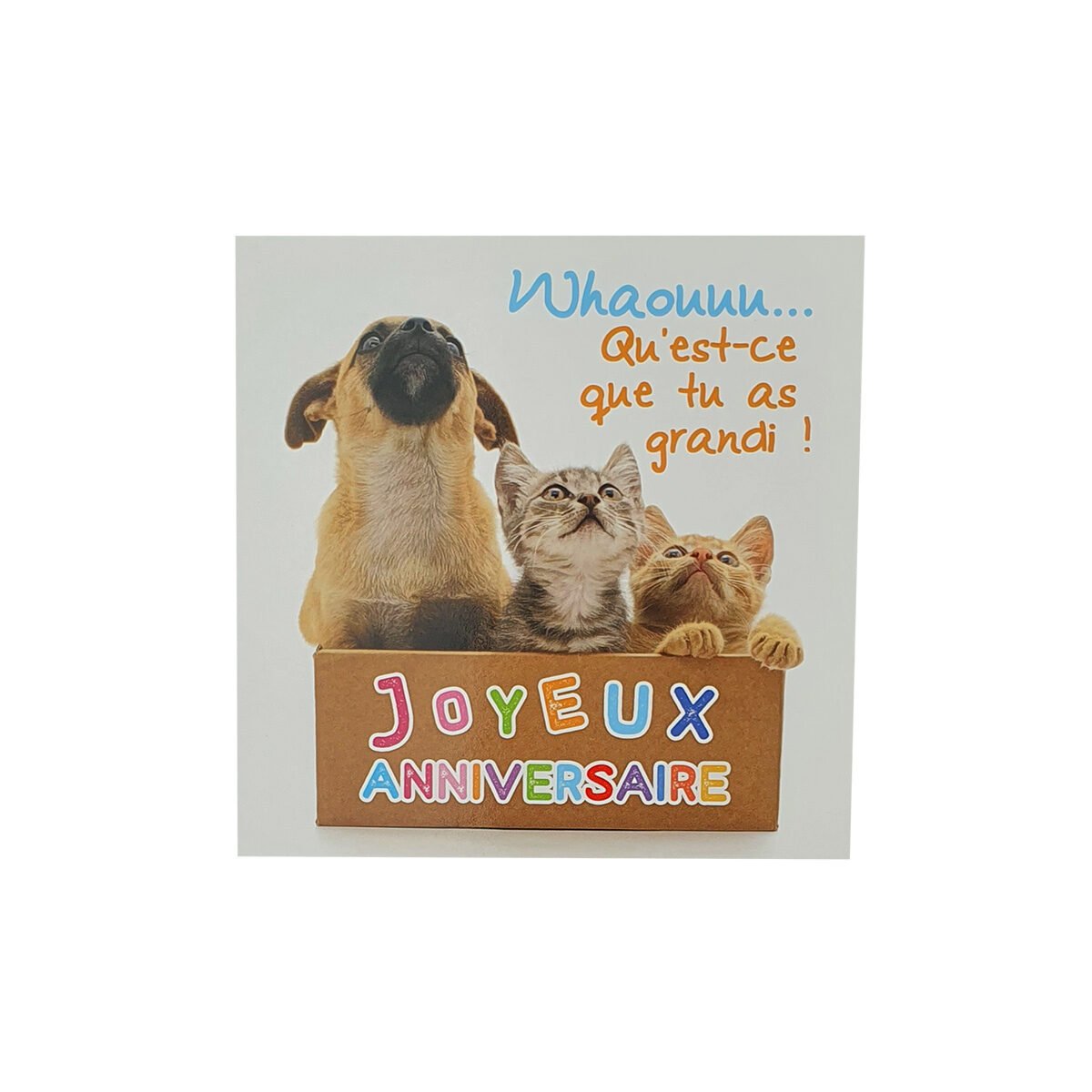 Postcard for birthday 12 X 12 cm with envelope Carré fun