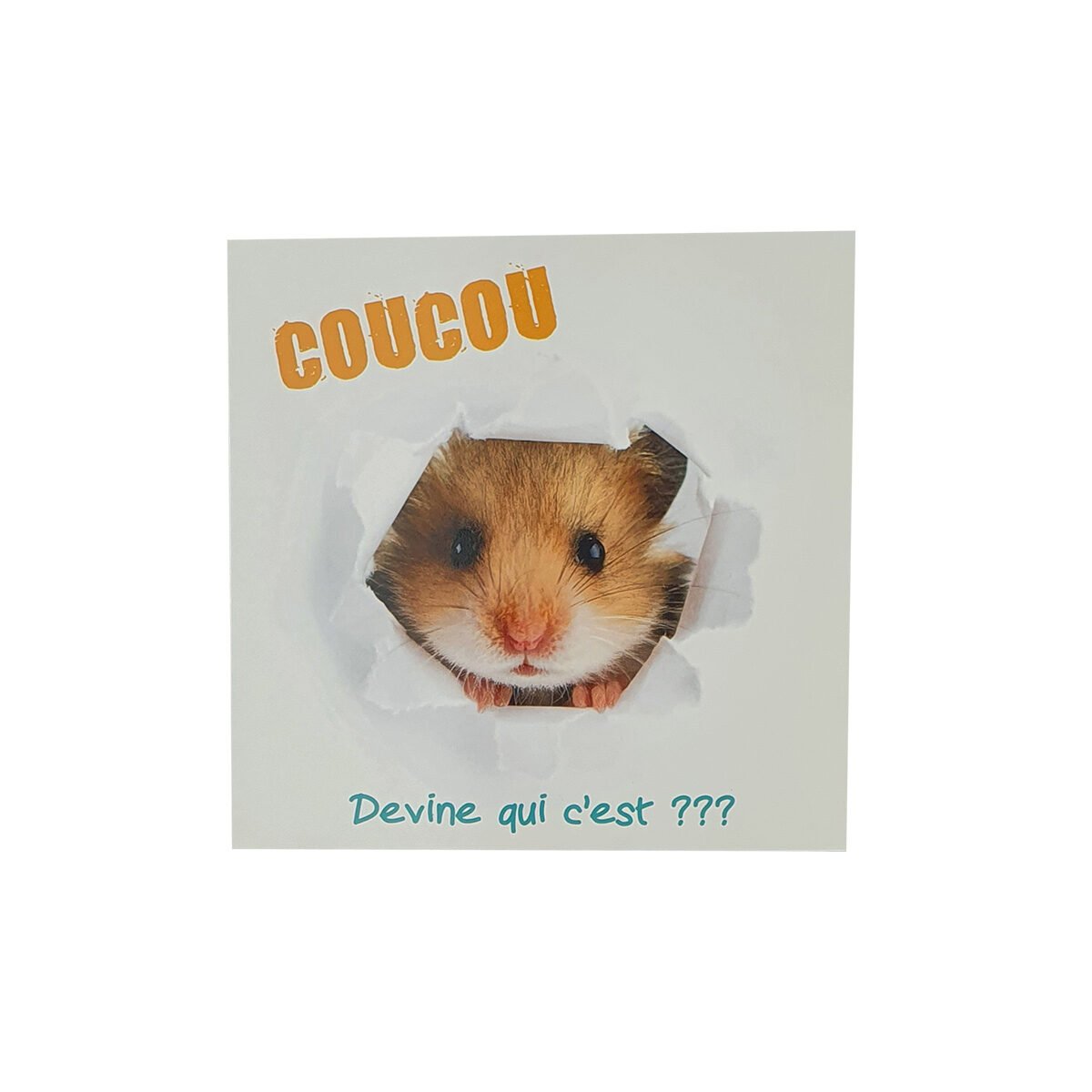 Postcard for any occasion of 12 X 12 cm with envelope Carré fun