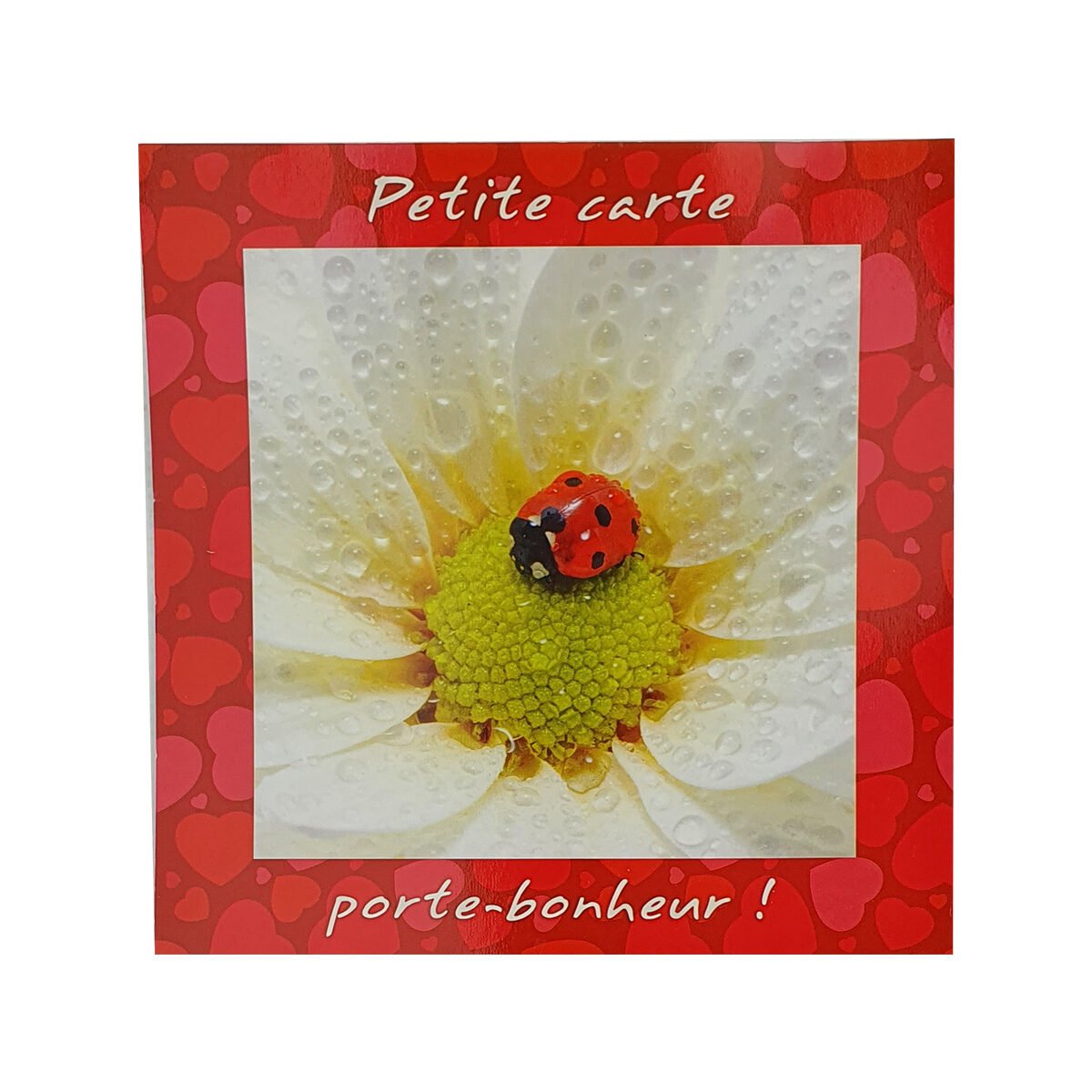 Postcard for any occasion of 16 X 16 cm with Passion photo envelope