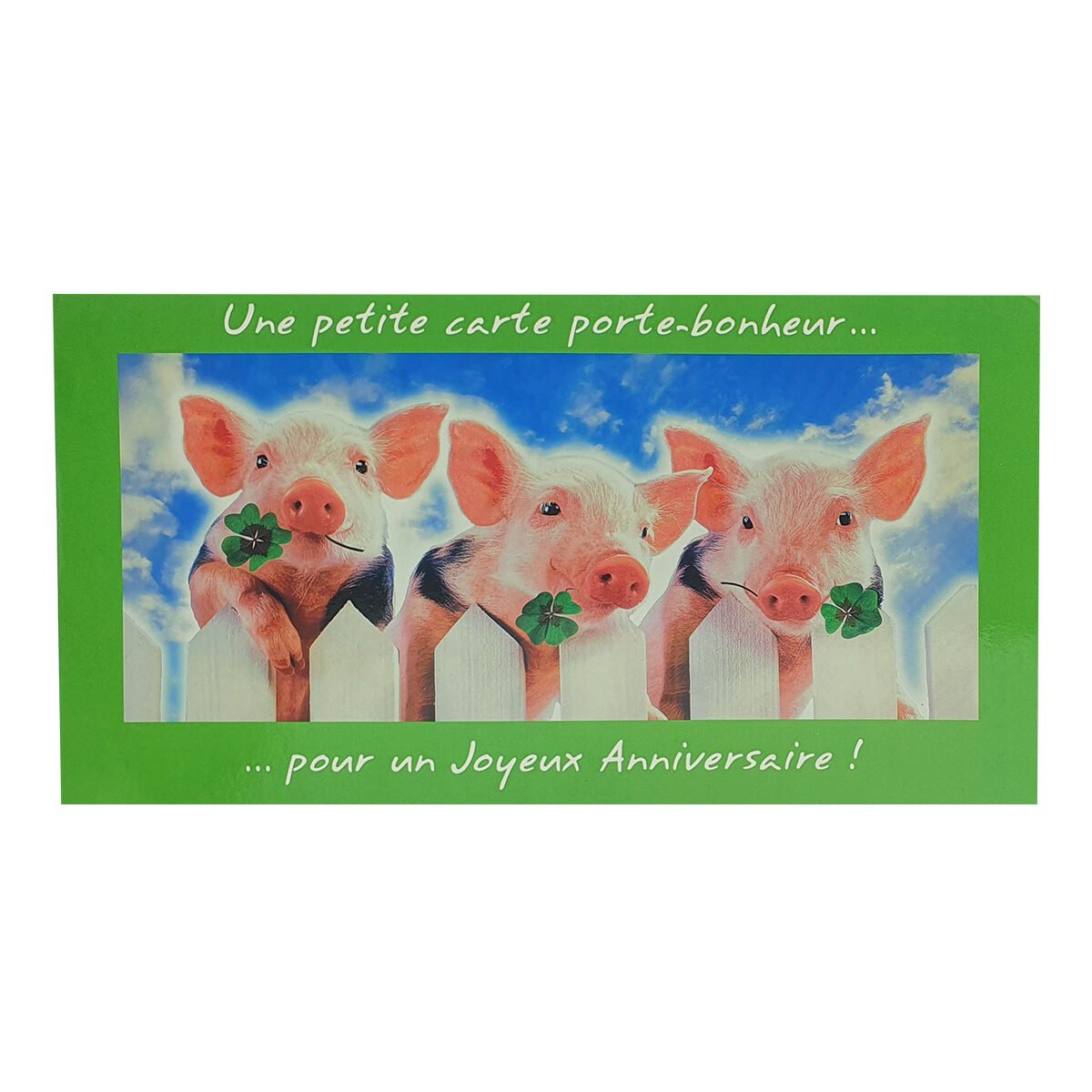 Postcard for birthday of L 23 X l 12 cm with Passion photo envelope