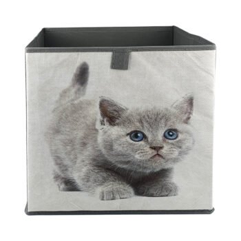 cube 31x31x31 chats-1 cube 31x31x31 chats-1