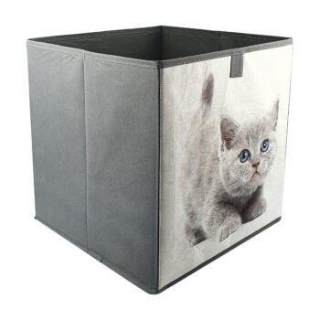 cube 31x31x31 chats-2 cube 31x31x31 chats-2