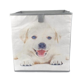 cube 31x31x31 chien-1 cube 31x31x31 chien-1
