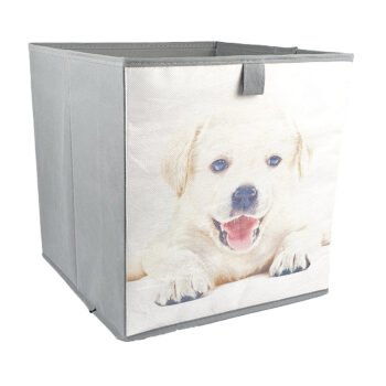 cube 31x31x31 chien-2 cube 31x31x31 chien-2