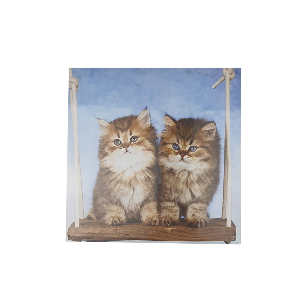 Canvas print 2 cats swing L 28 x W 28 cm