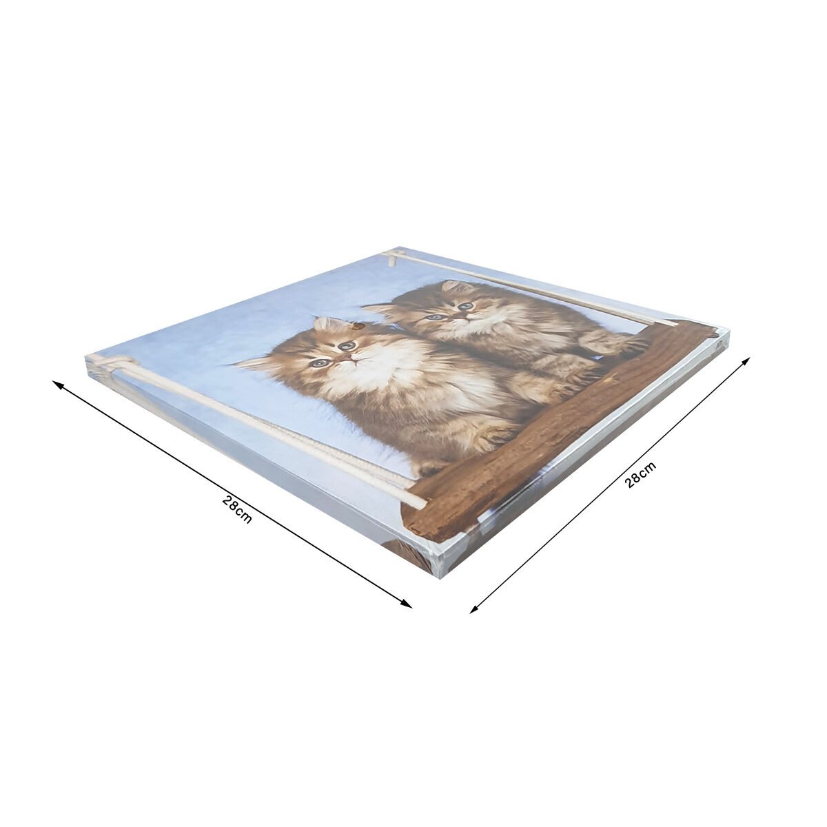 Canvas print 2 cats swing L 28 x W 28 cm