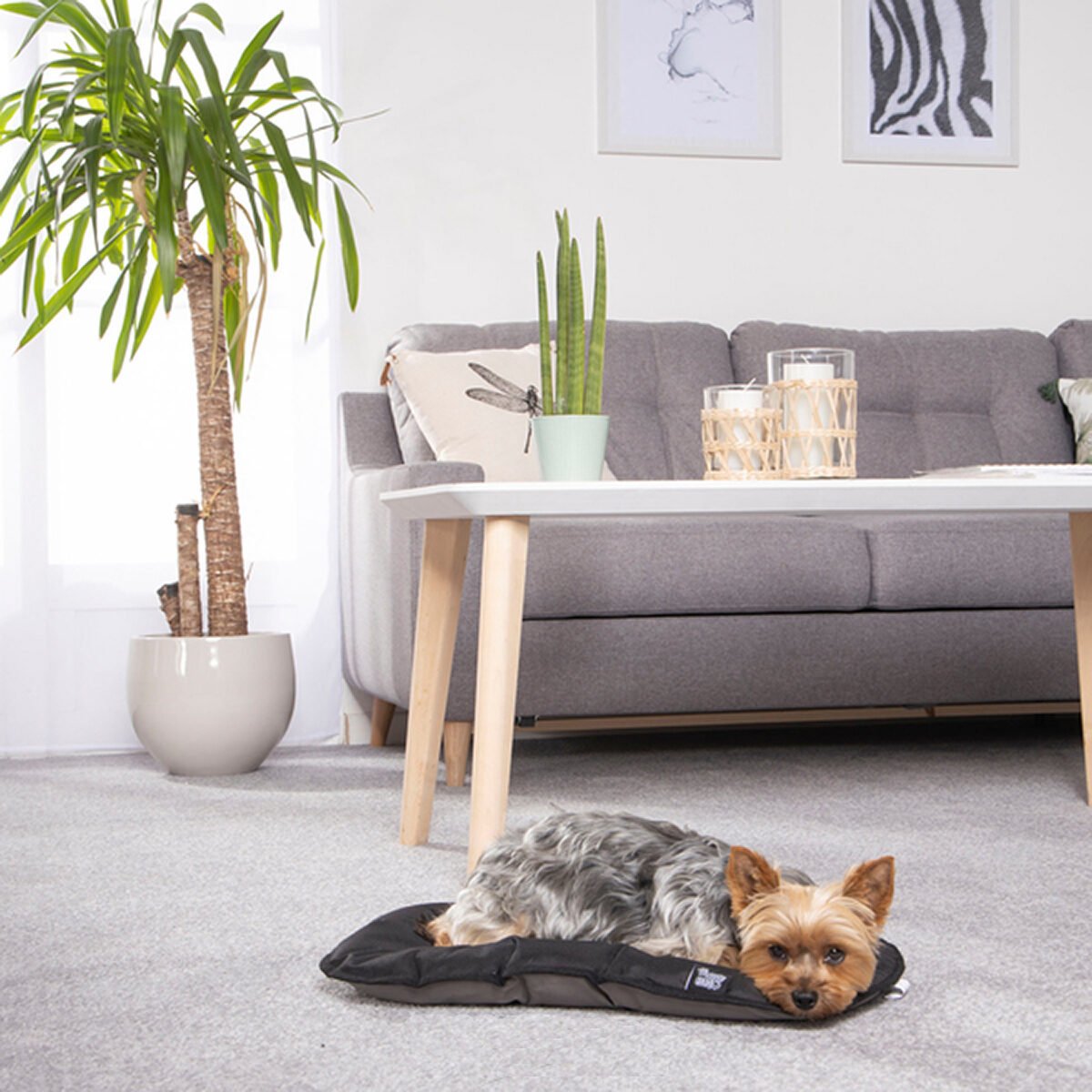 Coussin rembourré noir imperméable, anti-tâches et réversible en polyester pour animaux Love Story