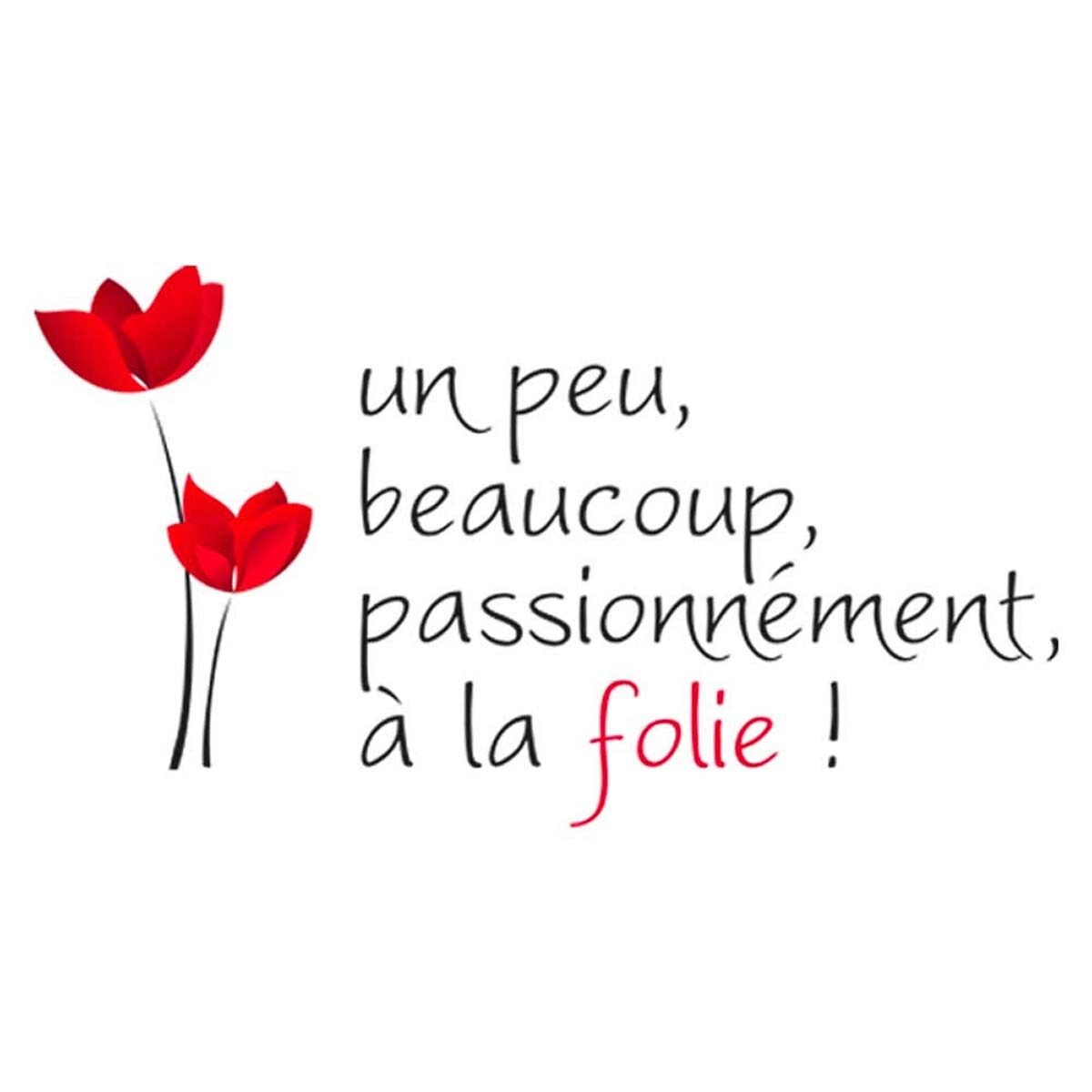 Stickers muraux qualité premium "Un peu beaucoup" l 91 x H 51 cm