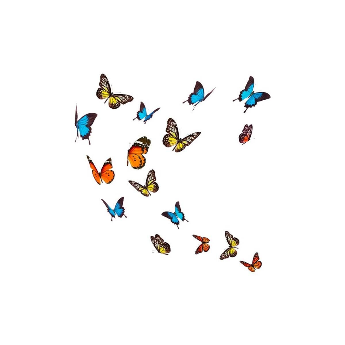 Wall stickers premium quality Butterflies W 58.6 x H 71.0 cm