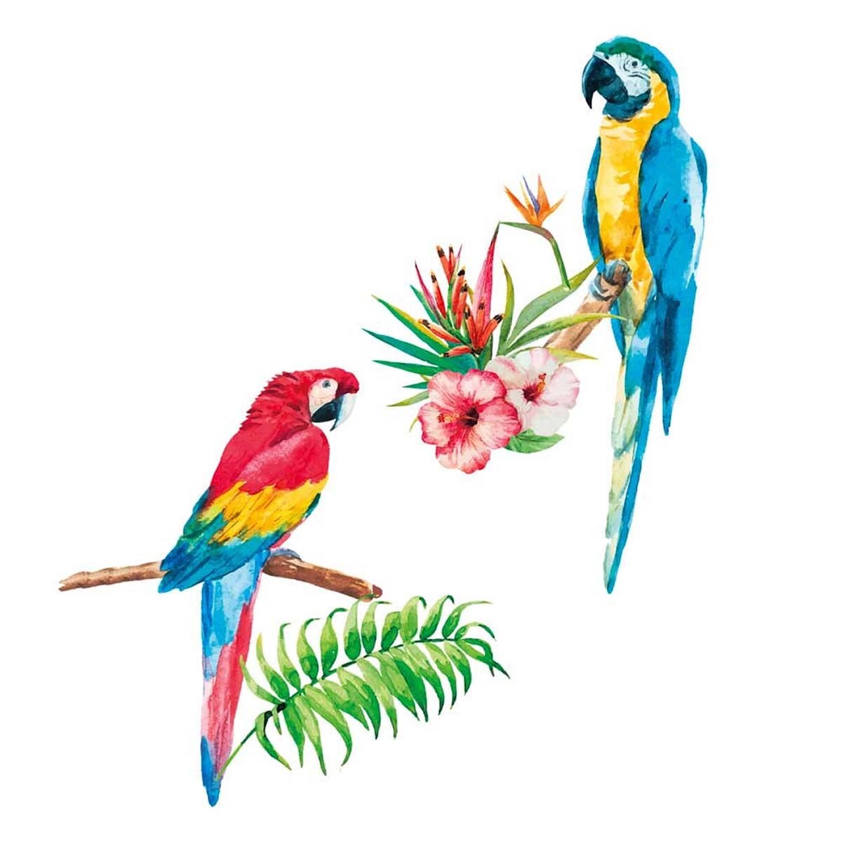 Wall stickers premium quality Parrots W 61.7 x H 73.4 cm