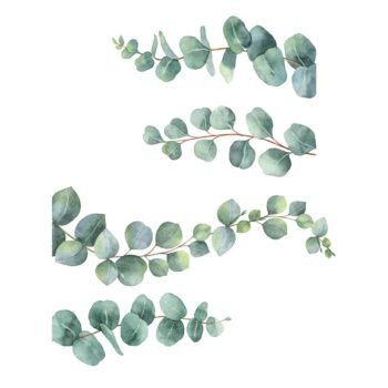 Premium quality wall stickers Branches W 68 x H 58 cm