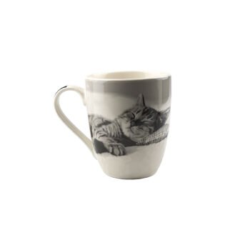 mug bombe animaux chat2-1