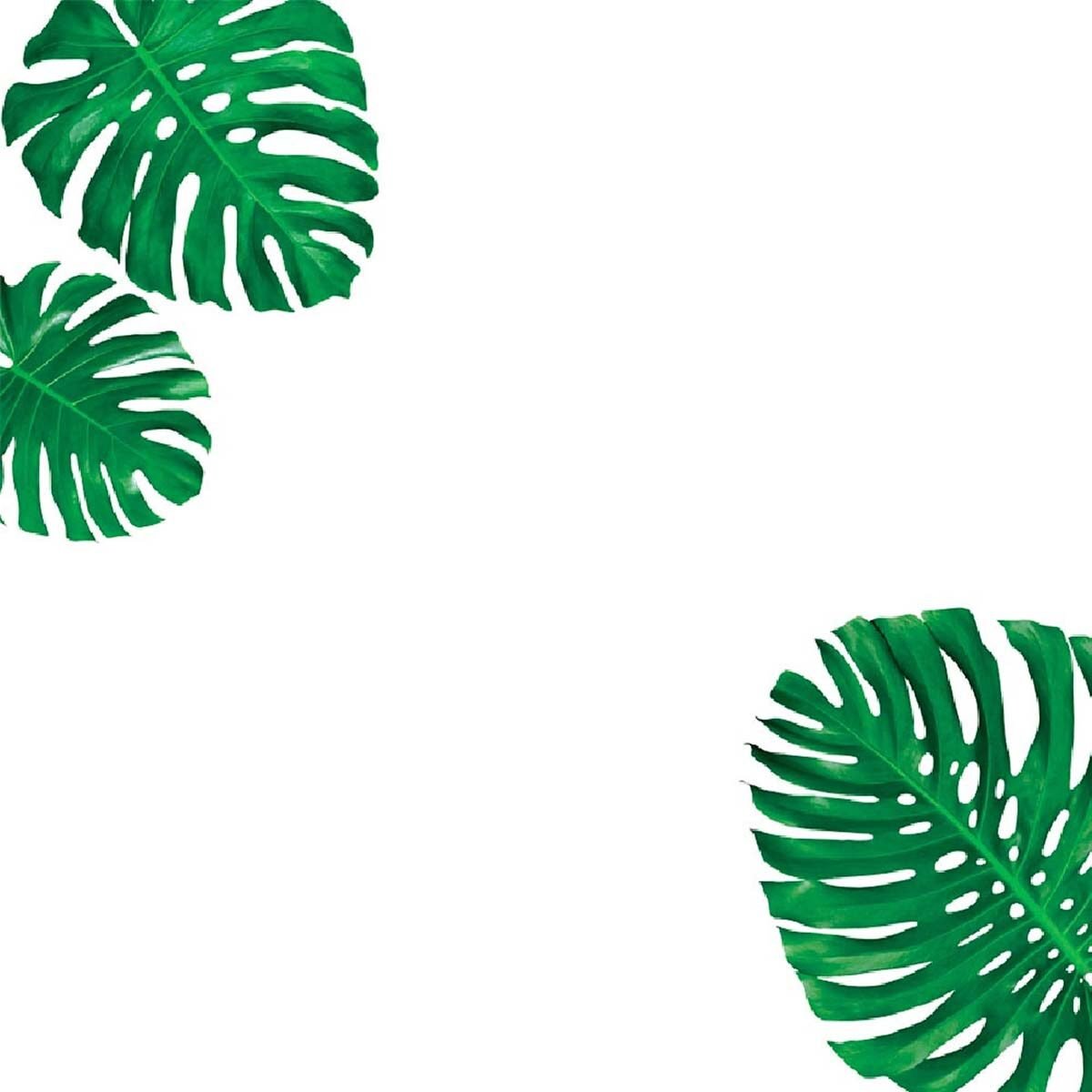 Electrostatic window sticker Monsteras leaves on a board L 60 x W 40 cm