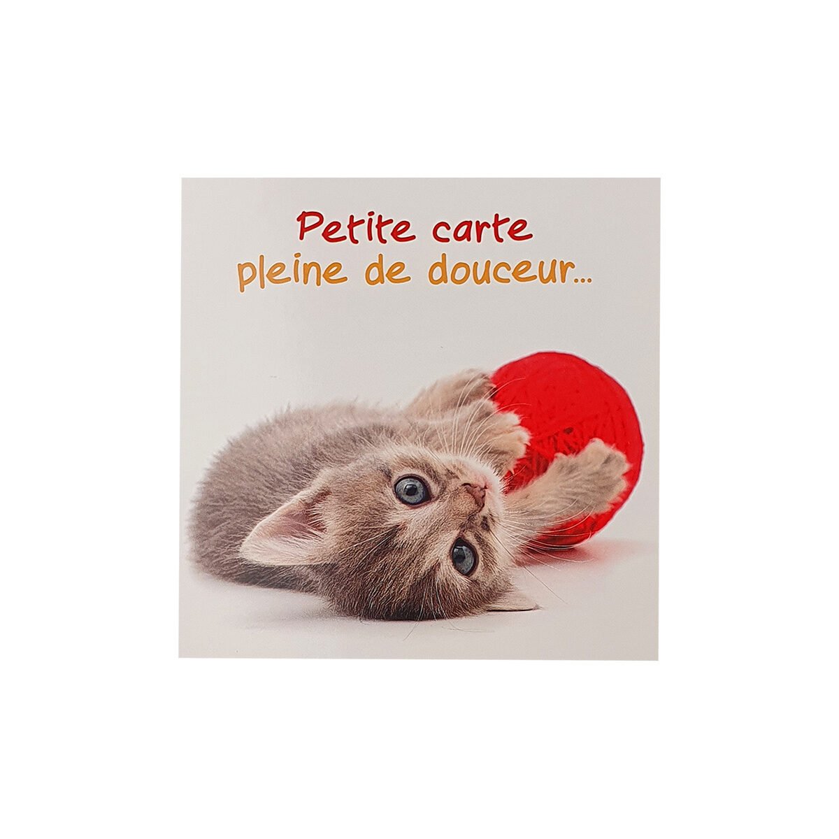 Carte postale pour toute occasion de 12 X 12 cm avec enveloppe Carré fun