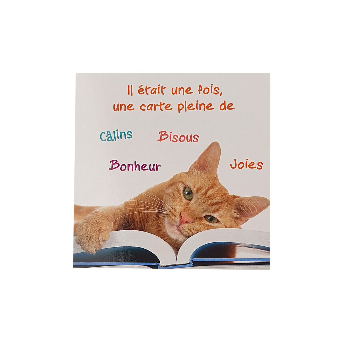 Carte postale pour toute occasion de 12 X 12 cm avec enveloppe Carré fun