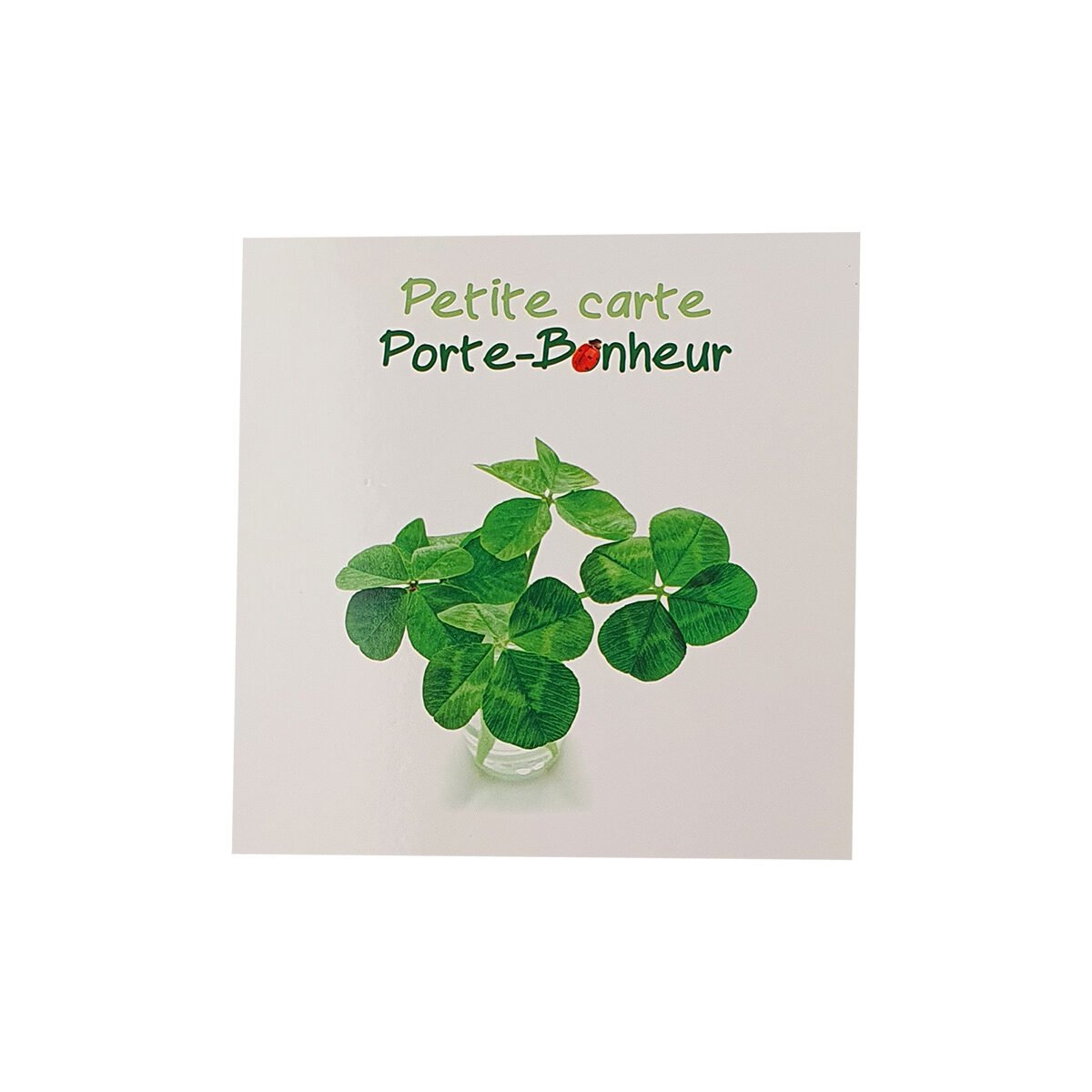 Carte postale pour toute occasion de 12 X 12 cm avec enveloppe Carré fun