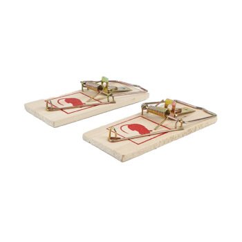 piège à sourisx2-2