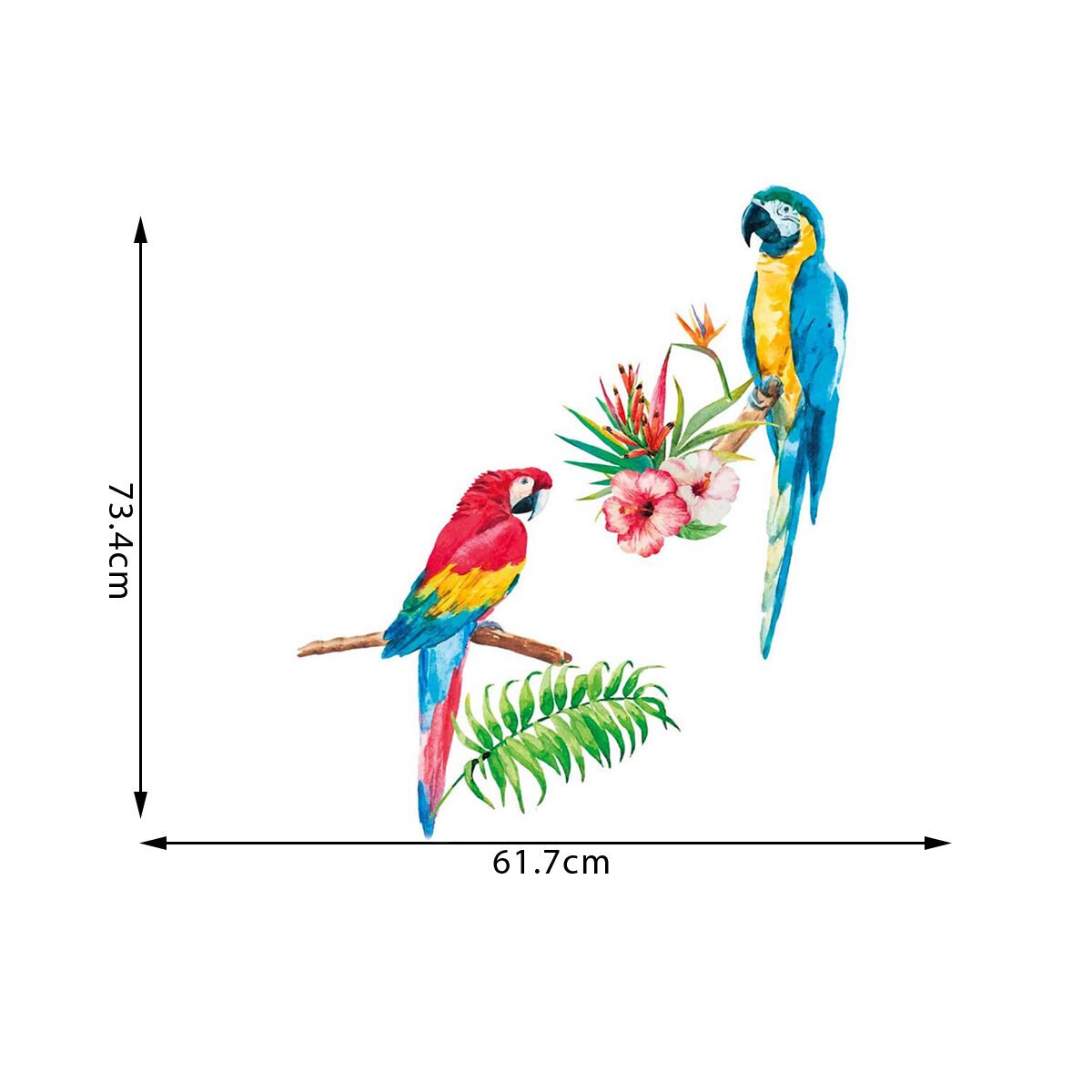 Wall stickers premium quality Parrots W 61.7 x H 73.4 cm