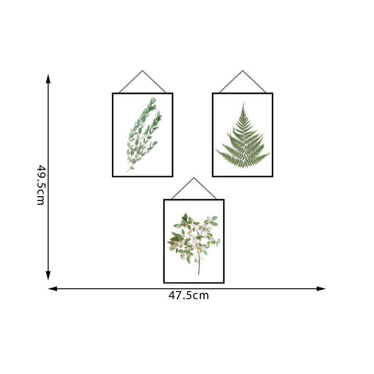 Premium quality wall stickers Seagrass frames W 47.5 x H 49.5 cm