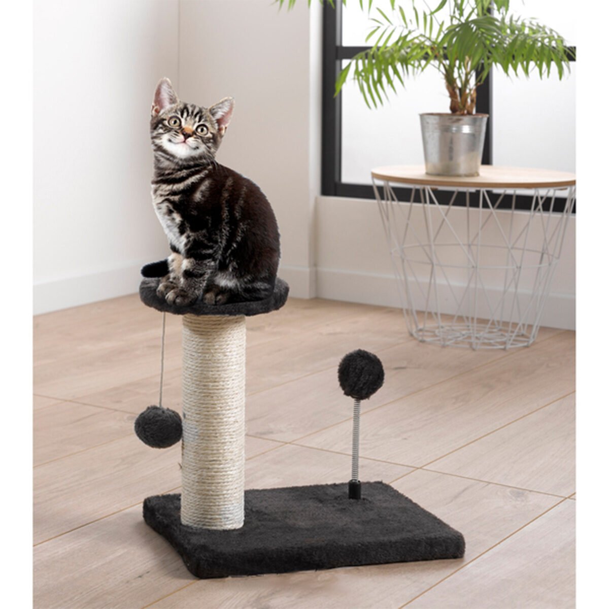 Cat tree L 30 x W 20 x H 28 cm with 1 suspended pompom and 1 on spring
