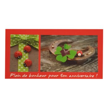 Postcard for Birthday L 23 X l 12 cm with Envelope Passion photo