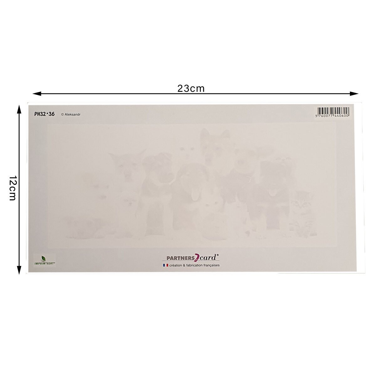 Carte postale pour Anniversaire de L 23 X l 12 cm avec enveloppe Passion photo