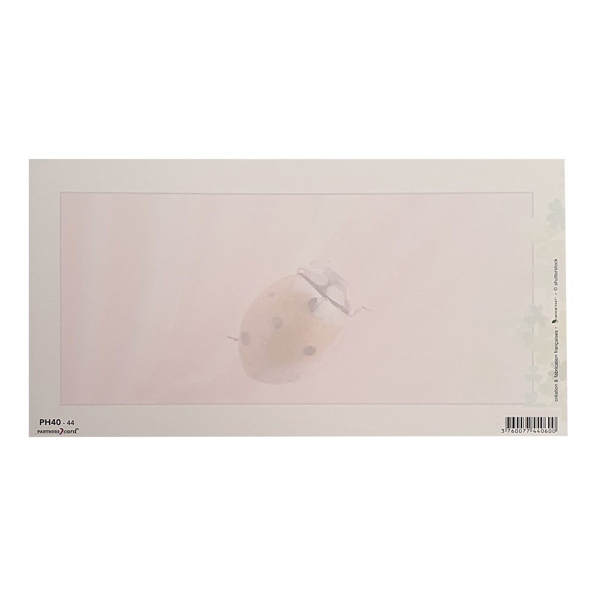 Postcard for any occasion of L 23 X l 12 cm with Envelope Passion photo